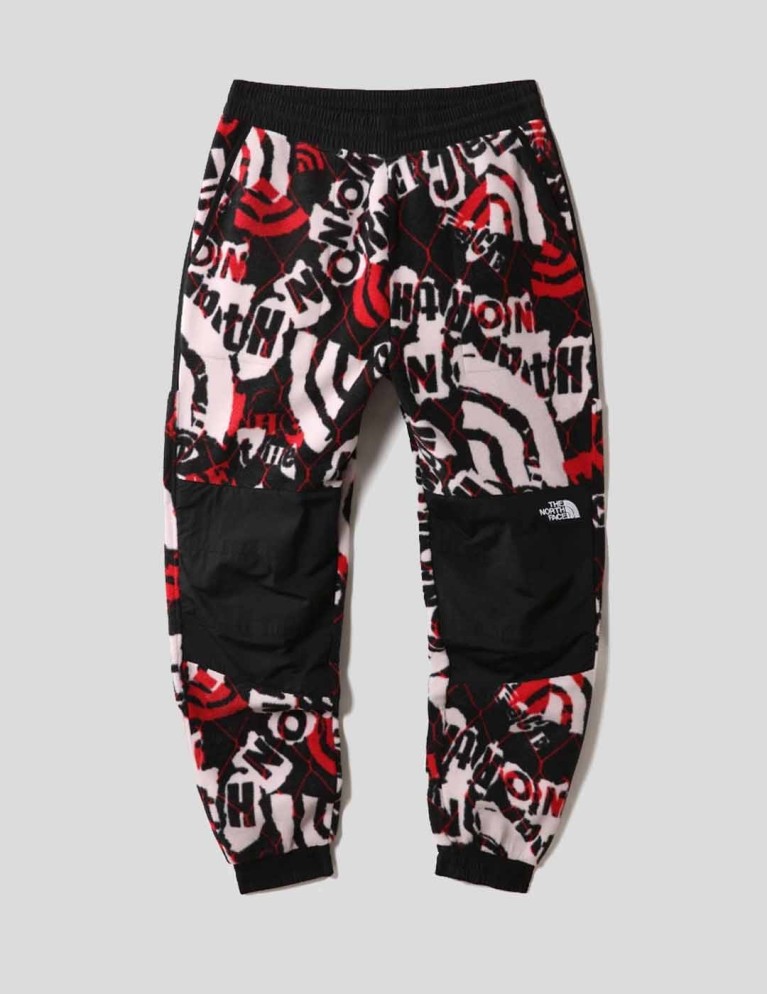 Pantalon THE NORTH FACE denali printed pant lavender fog cole navin halfdome print
